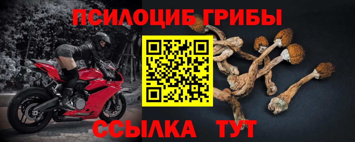 Псилоцибиновые грибы Psilocybine cubensis  Вход с VPN  Ейск 